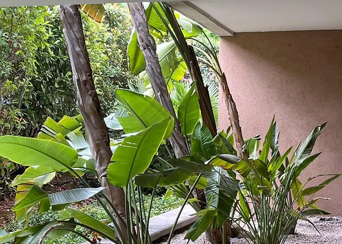 아파트 Centre Cannes, Piscine, Climatisation