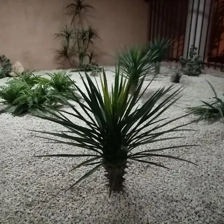 Centre Cannes, Piscine, Climatisation Appartement Cannes